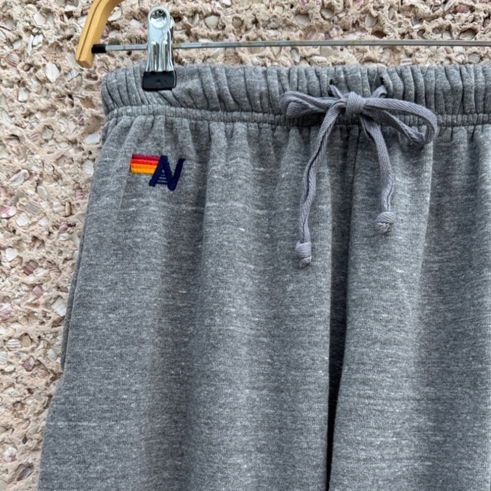 Aviator Nation Classic Five Stripe Sweatpants - Picture 5 of 8